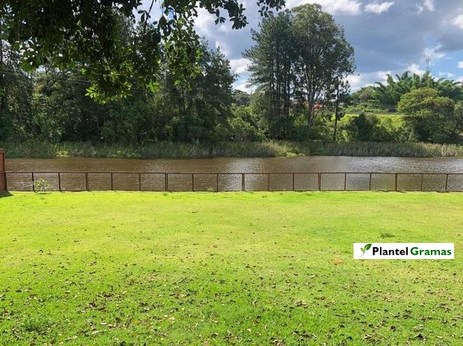 Fotos tipos de grama tipos de grama natural para jardim