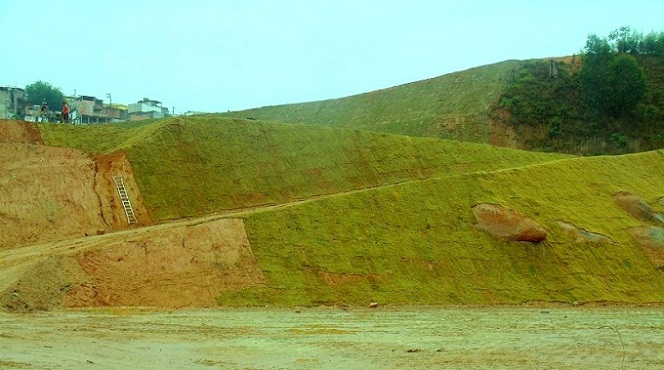 tipos de grama natural para campo de futebol