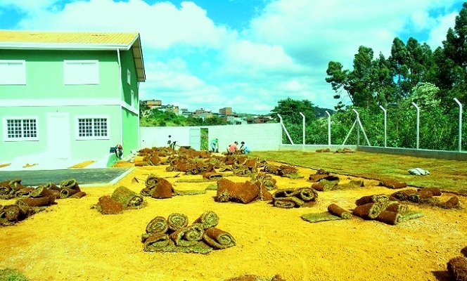tipos de grama para quintal