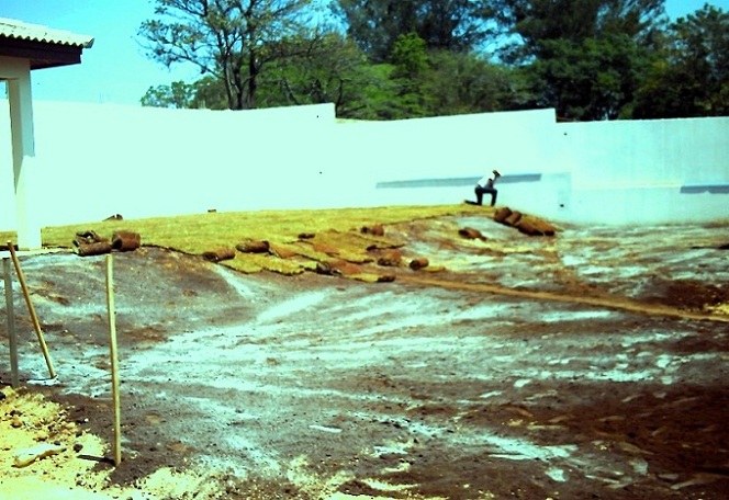 tipos de grama para jardinagem